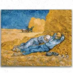 Sleeping in the Fields