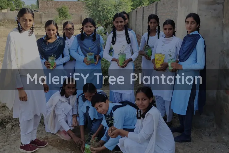 Tree Plantation - Paint by Numbers