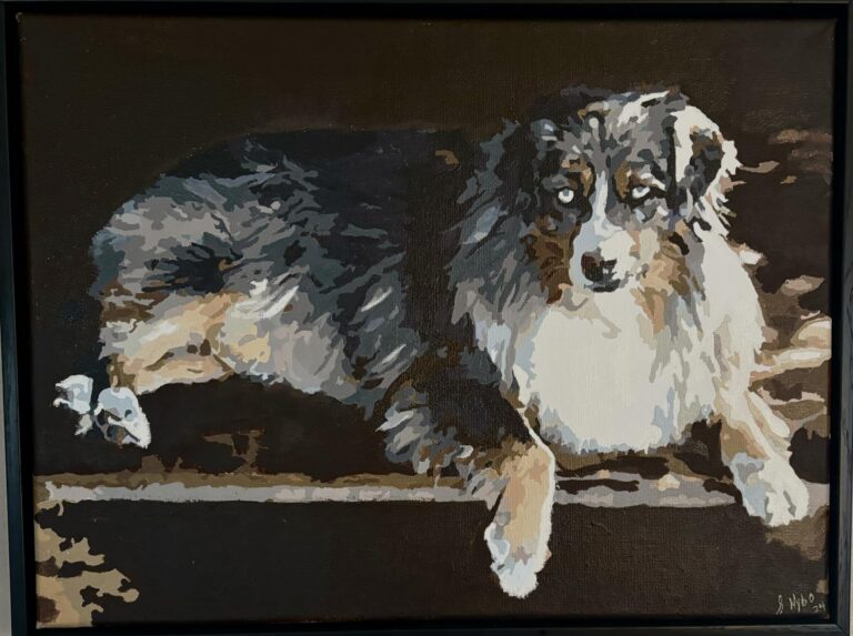 Schilderen op Nummer Huisdierportret op Maat: Maak van je Harige Vriend een Kunstwerk photo review