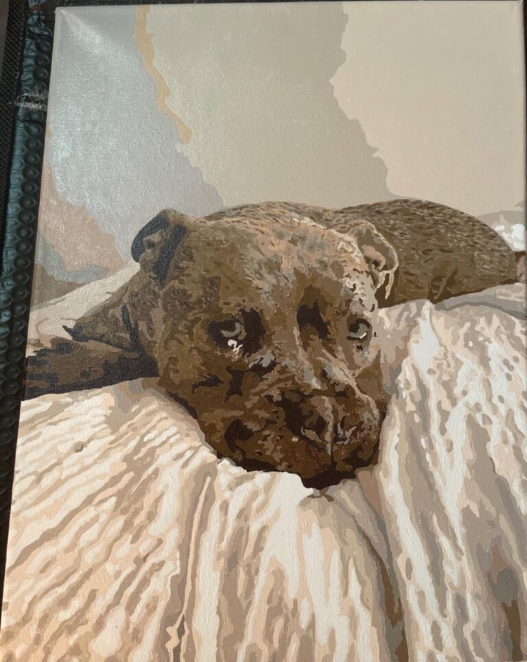 Schilderen op Nummer Huisdierportret op Maat: Maak van je Harige Vriend een Kunstwerk photo review