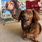 Schilderen op Nummer Huisdierportret op Maat: Maak van je Harige Vriend een Kunstwerk photo review