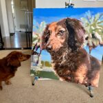 Schilderen op Nummer Huisdierportret op Maat: Maak van je Harige Vriend een Kunstwerk photo review