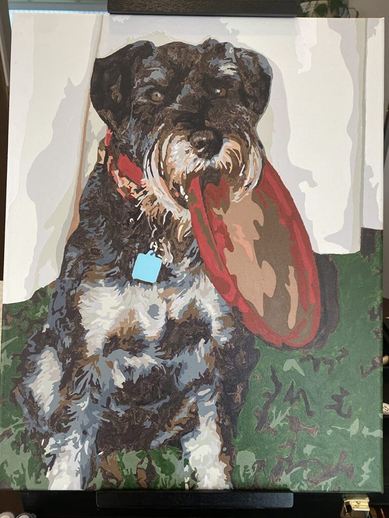 Schilderen op Nummer Huisdierportret op Maat: Maak van je Harige Vriend een Kunstwerk photo review