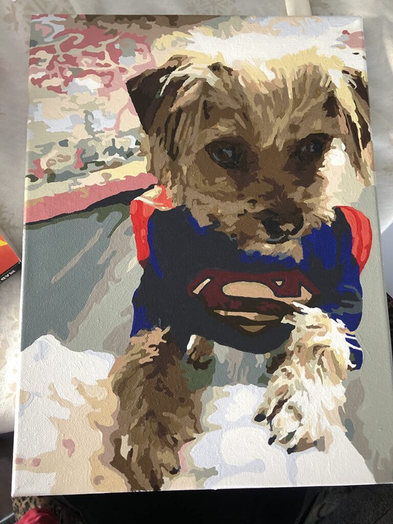 Schilderen op Nummer Huisdierportret op Maat: Maak van je Harige Vriend een Kunstwerk photo review