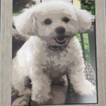 Gepersonaliseerd Huwelijksportret - Verander Huwelijksherinneringen in Kunst photo review