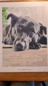 Schilderen op Nummer Kit met Eigen Foto | Persoonlijk Canvas Cadeau photo review