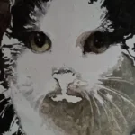 Schilderen op Nummer Kit met Eigen Foto | Persoonlijk Canvas Cadeau photo review