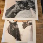 Schilderen op Nummer Kit met Eigen Foto | Persoonlijk Canvas Cadeau photo review