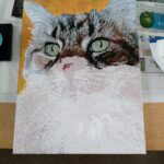Schilderen op Nummer Huisdierportret op Maat: Maak van je Harige Vriend een Kunstwerk photo review